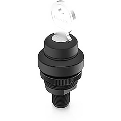 RAFI 1.10.051.005/0001 RAMO 22 K Schlüsselschalter 32 V 0.1 A 2 x 90 ° 1 St.