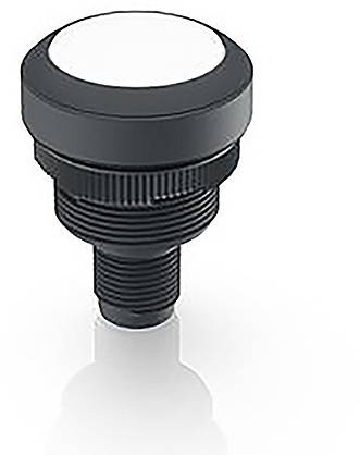 RAFI RAMO 22 Meldeleuchte Weiß 1 St.