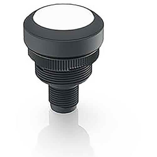 RAFI RAMO 22 Meldeleuchte Weiß 1 St.