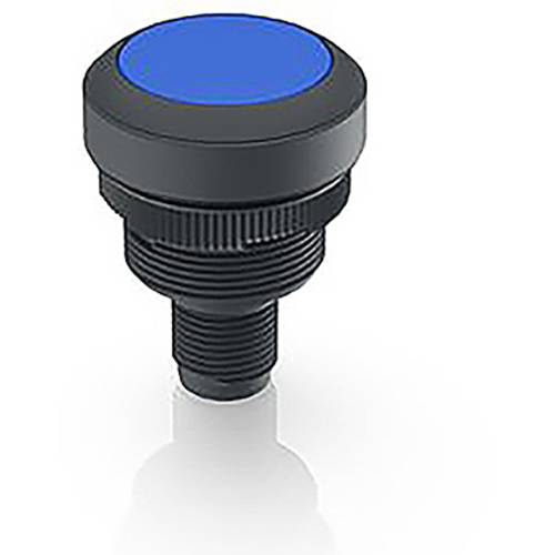 RAFI RAMO 22 Meldeleuchte Blau 1 St.