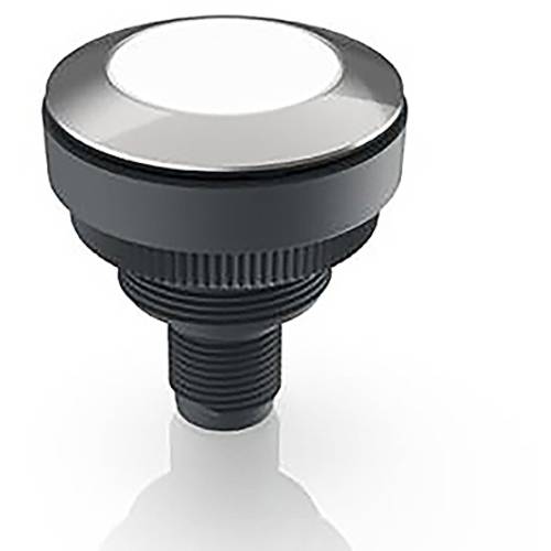 RAFI RAMO 30 Meldeleuchte Weiß 1 St.