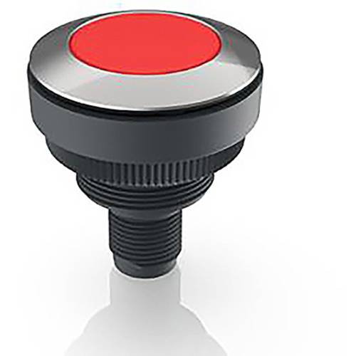 RAFI RAMO 30 Meldeleuchte Edelstahl, Rot 1 St.