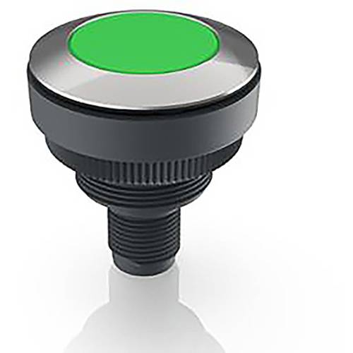 RAFI RAMO 30 Meldeleuchte Edelstahl, Grün 1 St.