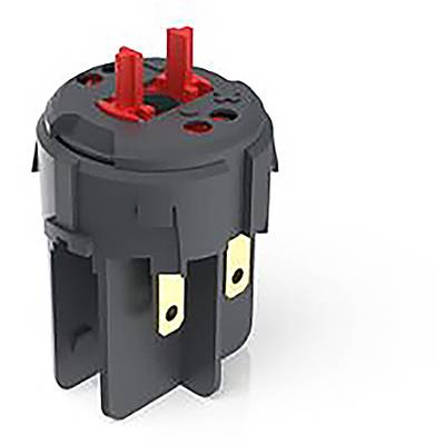 Ein schwarzer, zylindrischer elektrischer Schalter mit zwei roten Stiften und goldfarbenen Kontakten, für elektronische Geräte geeignet.