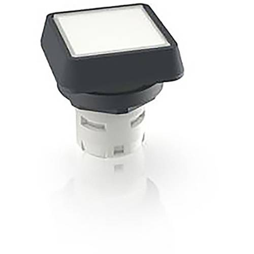 RAFI 1.30.070.001/1002 1.30.070.001/1002 Leuchtdrucktaster (L x B x H) 24.95 x 24.95 x 26.35 mm 1 St.