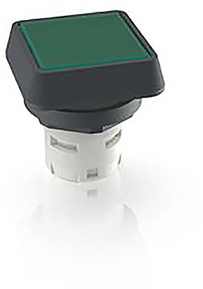 RAFI 1.30.070.001/1505 1.30.070.001/1505 Leuchtdrucktaster (L x B x H) 24.95 x 24.95 x 26.35 mm 1 St.