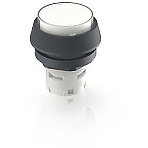 RAFI 1.30.070.071/1002 1.30.070.071/1002 Leuchtdrucktaster (L x B x H) 24.95 x 24.95 x 29.15 mm 1 St.