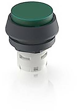 RAFI 1.30.070.071/1505 1.30.070.071/1505 Leuchtdrucktaster (L x B x H) 24.95 x 24.95 x 29.15 mm 1 St.