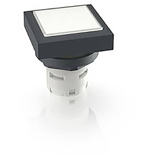 RAFI 1.30.070.201/1002 1.30.070.201/1002 Leuchtdrucktaster (L x B x H) 24.95 x 24.95 x 26.35 mm 1 St.