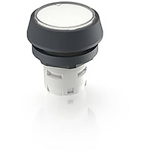 RAFI 1.30.070.271/0200 1.30.070.271/0200 Drucktaster (L x B x H) 24.95 x 24.95 x 26.35 mm 1 St.
