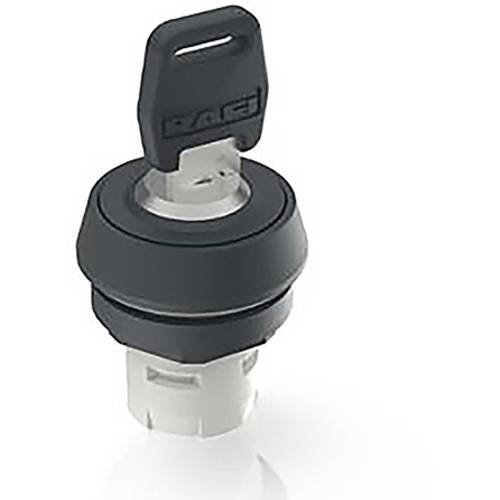 RAFI 1.30.076.121/0000 RAFIX 16 Schlüsselschalter 1 x 90 ° 1 St.