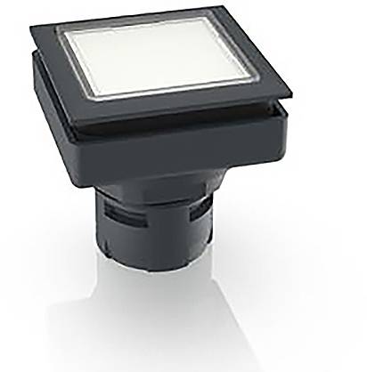 RAFI 1.30.090.001/1000 1.30.090.001/1000 Leuchtdrucktaster (L x B x H) 24.9 x 24.9 x 26.2 mm 1 St.