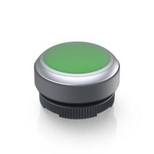RAFI 1.30.270.005/2508 1.30.270.005/2508 Leuchtdrucktaster tastend (L x B x H) 29.8 x 29.8 x 20.7 mm 1 St.