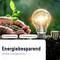 Eine Hand pflanzt ein grünes Pflänzchen neben einer leuchtenden Glühbirne und Münzstapeln. Text: 'Energiesparend - Verminder je energieverbruik.'
