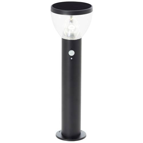 Brilliant G40411/06 Tulip Solar-Außenstandleuchte mit Bewegungsmelder LED-Modul LED fest eingebaut 3 W Schwarz