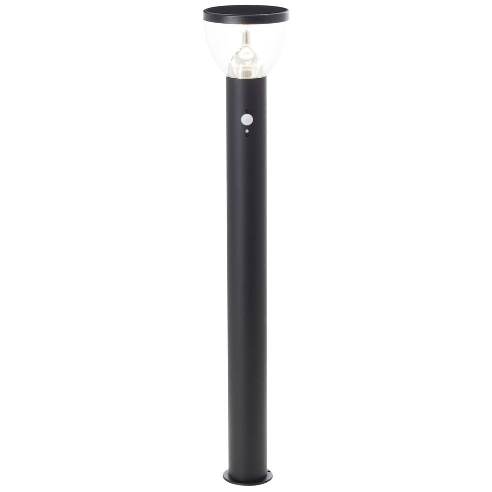 Brilliant G40412-06 Tulip Staande lamp op zonne-energie met bewegingsmelder 3 W Warmwit Zwart