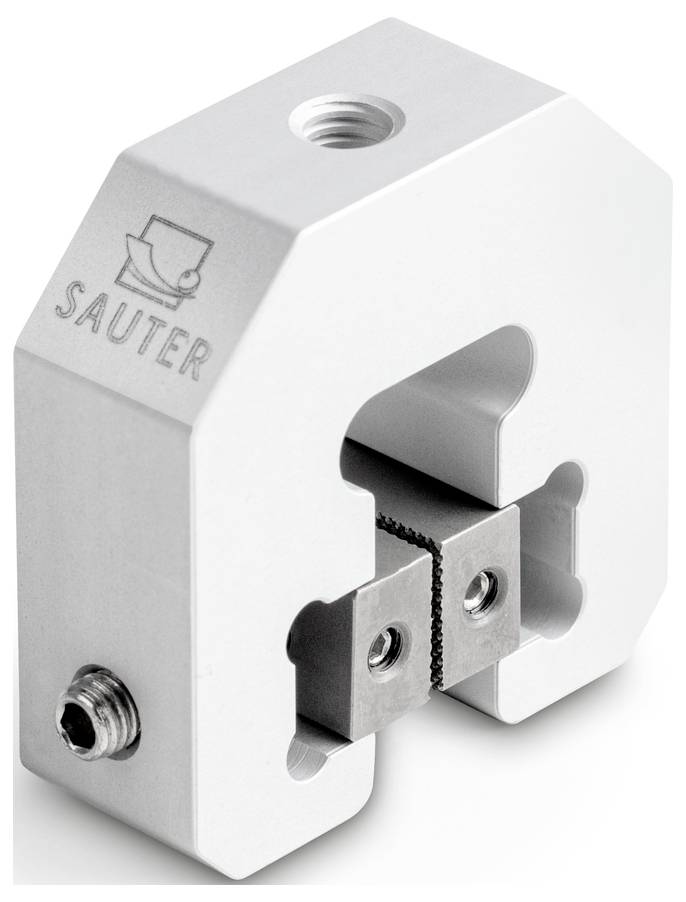 Ein Metallblock mit dem Logo 'Sauter', enthält zwei sichtbare Schraubklemmen, die aus der Vorderseite herausragen.
