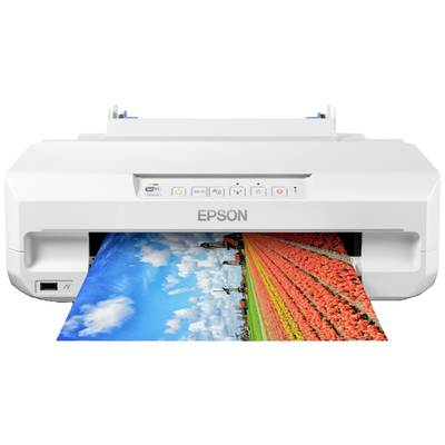 Ein Tintenstrahldrucker, der ein Foto mit bunten Tulpenfeldern ausdruckt. Der Drucker gehört zur Marke Epson.
