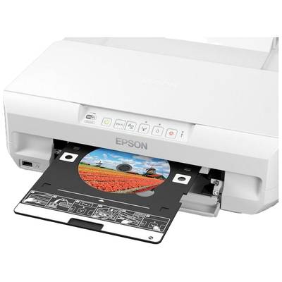 Ein Epson-Drucker druckt ein CD-Label mit einem Bild von roten Tulpenfeldern und Windmühlen im Hintergrund.