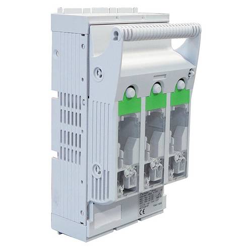 Spelsberg 7981101 Sicherungslasttrennschalter 250 A 1 St.