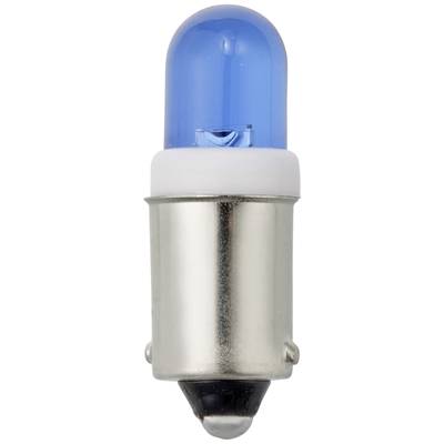 Eine blaue Glühbirne mit metallischer Basis, stehend aufrecht, zeigt einen glänzenden, glatten blauen Glaskolben.