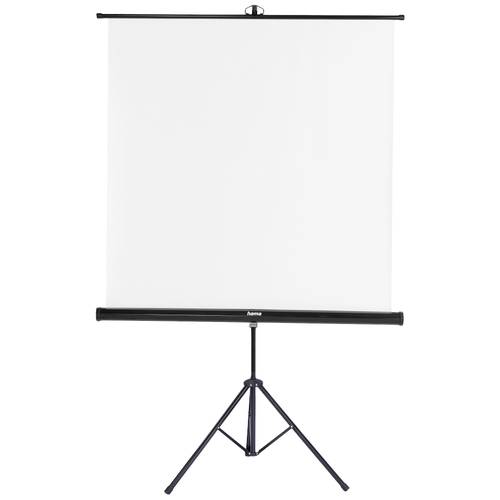 hama 00021575 Leinwand mit Stativ, 125 x 125 cm, 2in1, mobiles Set, Teleskoprohr, Weiß