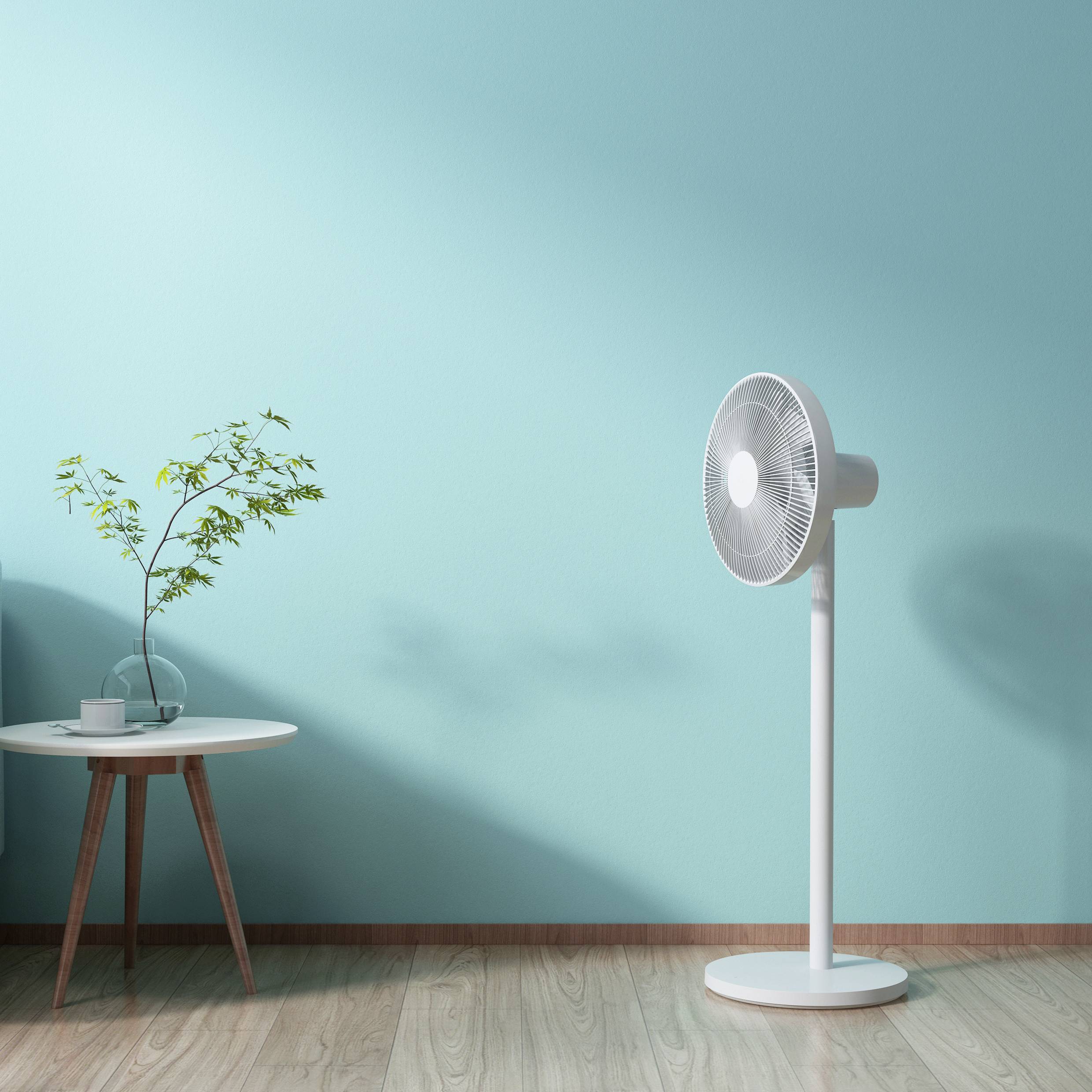 Ein weißer Standventilator steht in einem Raum mit türkisfarbener Wand. Links daneben ein kleiner Tisch mit einer Pflanze darauf.