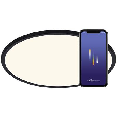 Ein Smartphone zeigt die Steuerungs-App für eine ovale, moderne Deckenleuchte von nordlux smart, die links im Bild zu sehen ist.