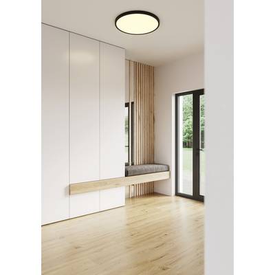 Moderner, heller Eingangsbereich mit Holzfußboden, weißem Schrank, großem Fenster und Sitzbank mit Holzverkleidung.