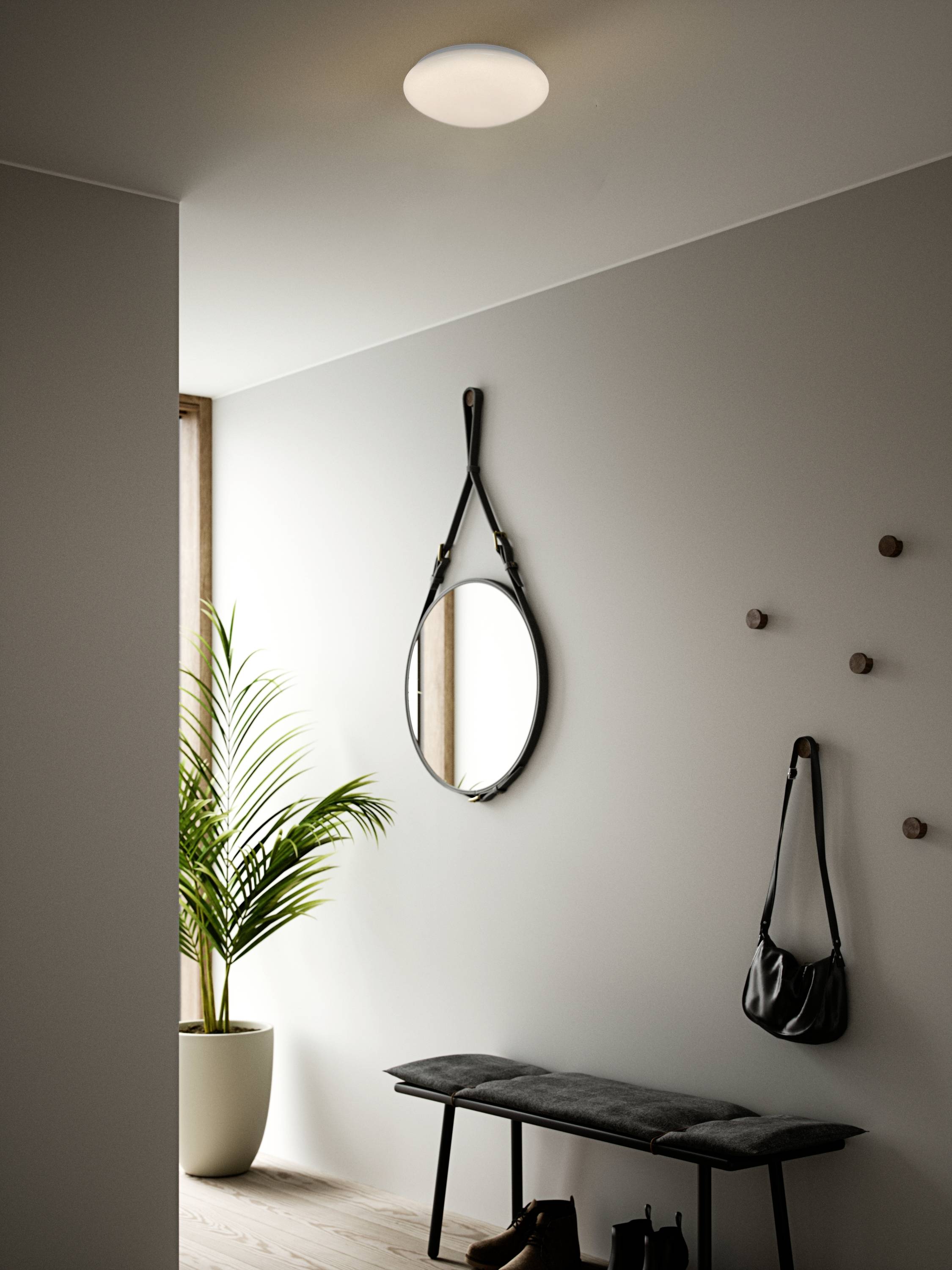Ein modern eingerichteter Flur mit einer runden Lampe an der Decke, einem Spiegel, einer Bank sowie einem Topf mit einer Pflanze.