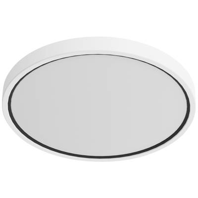 Weiße, runde Deckenleuchte mit schlichtem Design und glatter Oberfläche, geeignet für moderne Innenräume.