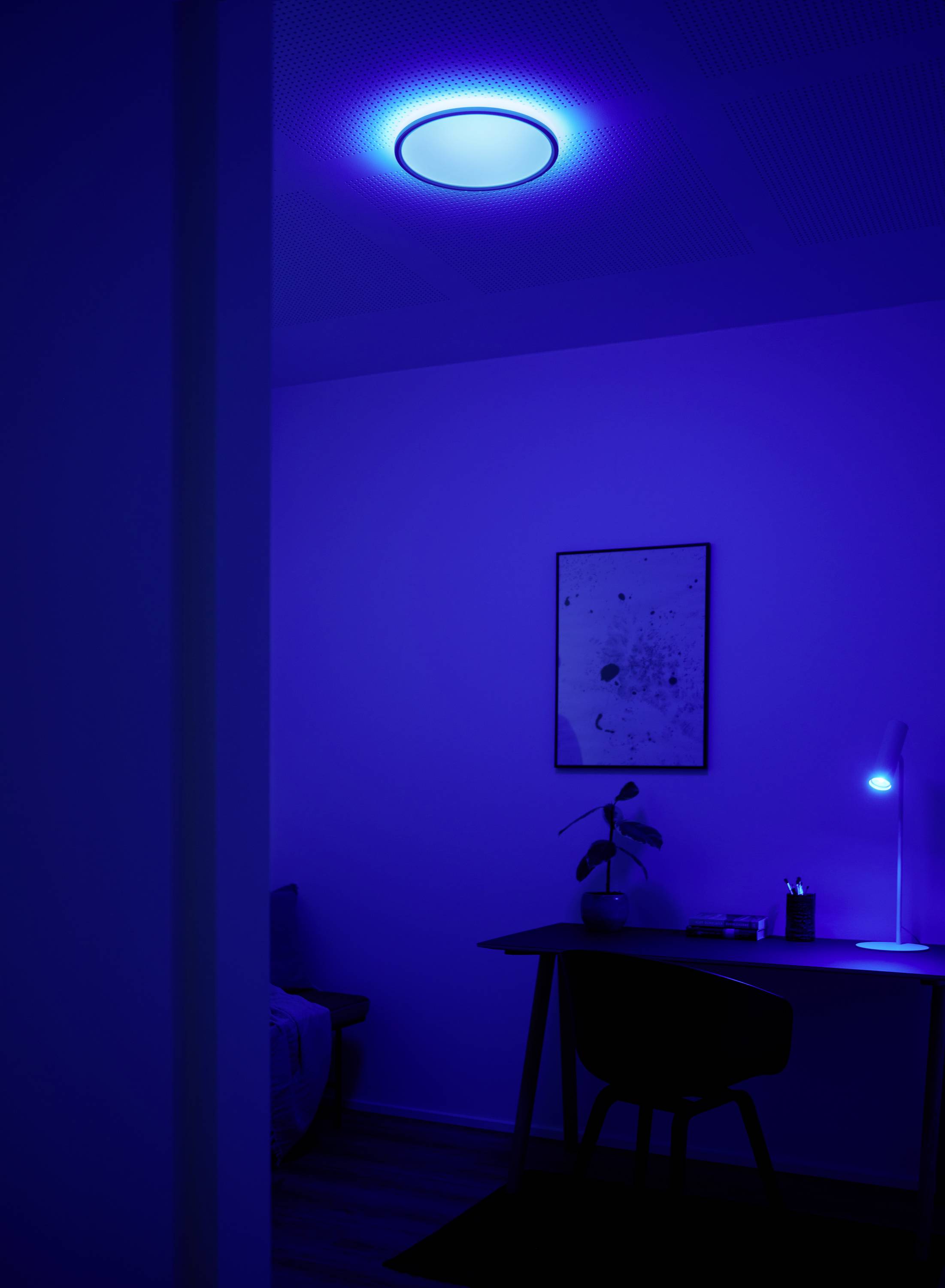 Ein Zimmer mit dunkler Atmosphäre, beleuchtet von einem blauen LED-Licht an der Decke und einer Schreibtischlampe; Schreibtisch mit Stuhl und Pflanzen.