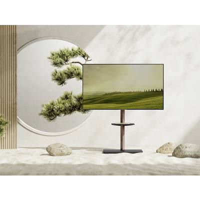 Ein moderner TV-Bildschirm zeigt eine Landschaft mit grünen Hügeln. Im Hintergrund ragt ein Baum durch ein rundes Fenster in einem minimalistischen Raum.