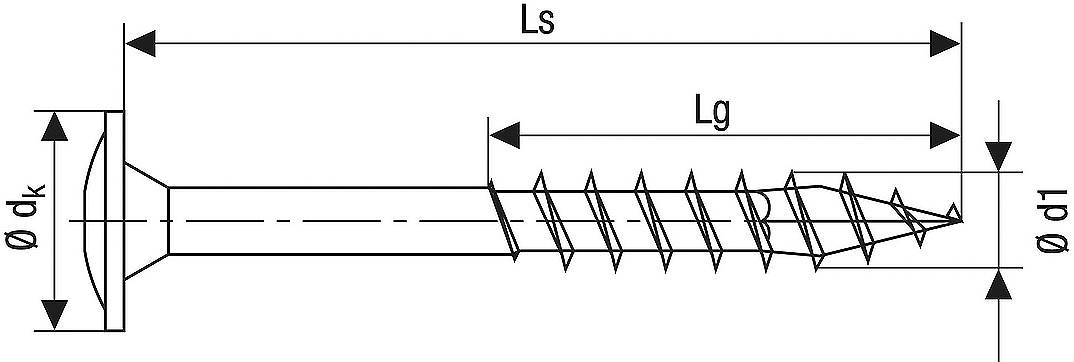 Schema einer Schraube mit Längen- und Durchmesserangaben: Gesamtlänge (Ls), Gewindelänge (Lg), Kopfdurchmesser (dk), Spitzendurchmesser (d1).