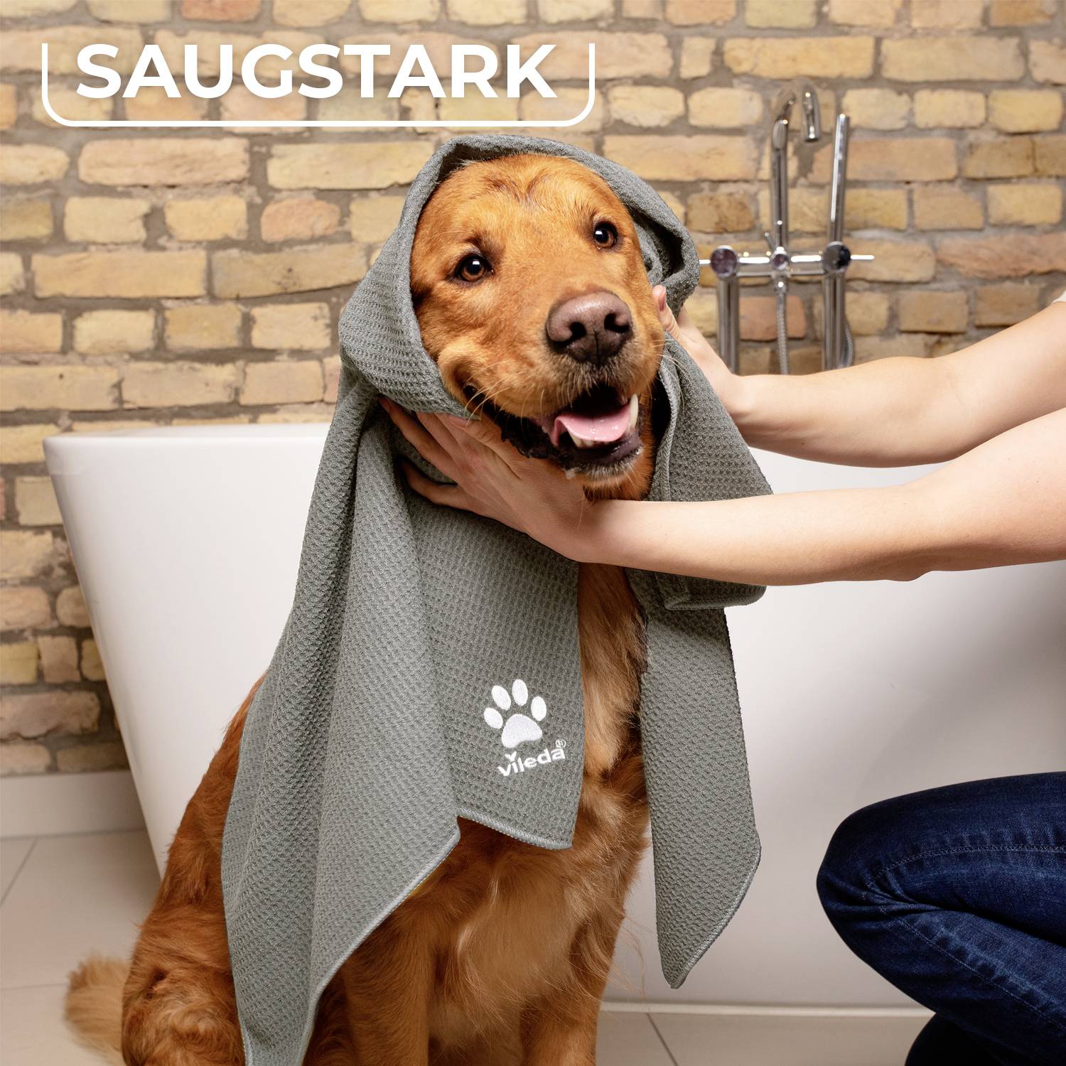 Ein Hund wird mit einem grauen Handtuch, auf dem 'Vileda' steht, abgerieben. Im Hintergrund sind Fliesen und der Text 'SAUGSTARK'.