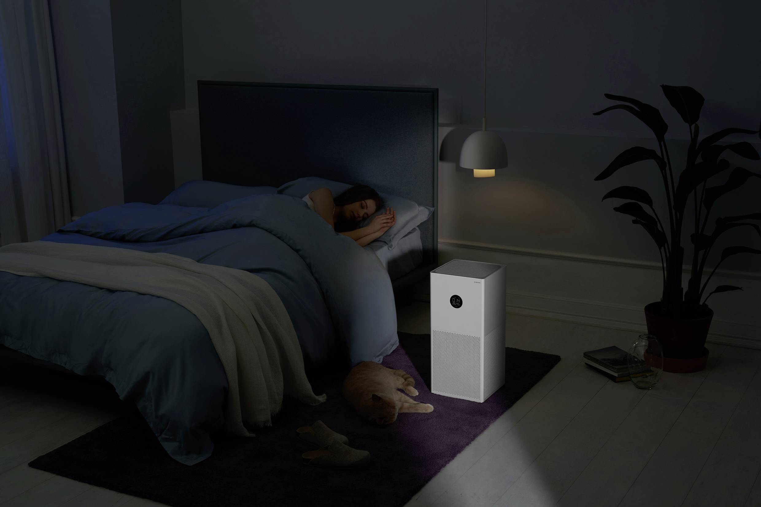 Eine Person schläft nachts im Bett, begleitet von einem Hund auf dem Teppich und einem eingeschalteten Luftreiniger im abgedunkelten Raum.