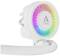 Lüfter von Arctic mit RGB-Beleuchtung. Das Design ist rund und modern, ideal für Computer-Kühlung. Farbverlauf zeigt Regenbogen-Effekt.