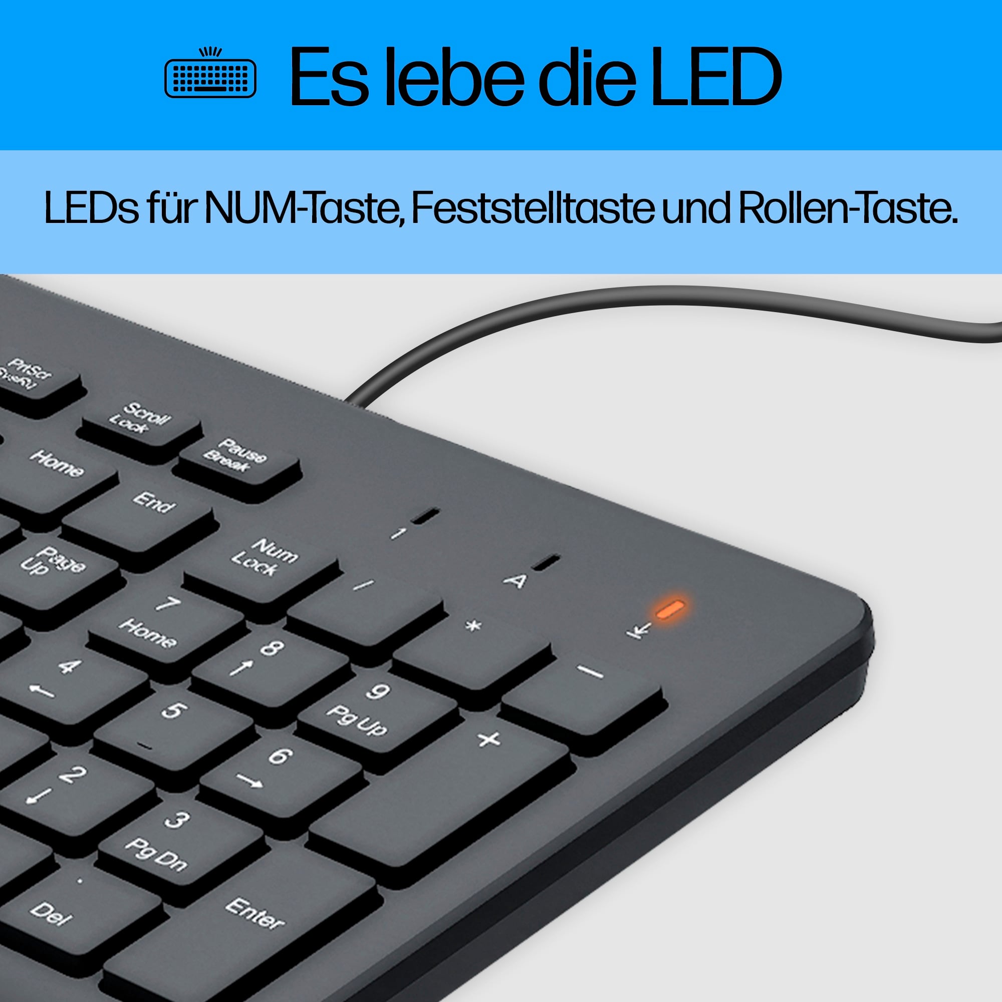 'Es lebe die LED' steht oben. Darunter LEDs für NUM-Taste, Feststelltaste und Rollen-Taste auf einer Tastatur abgebildet.