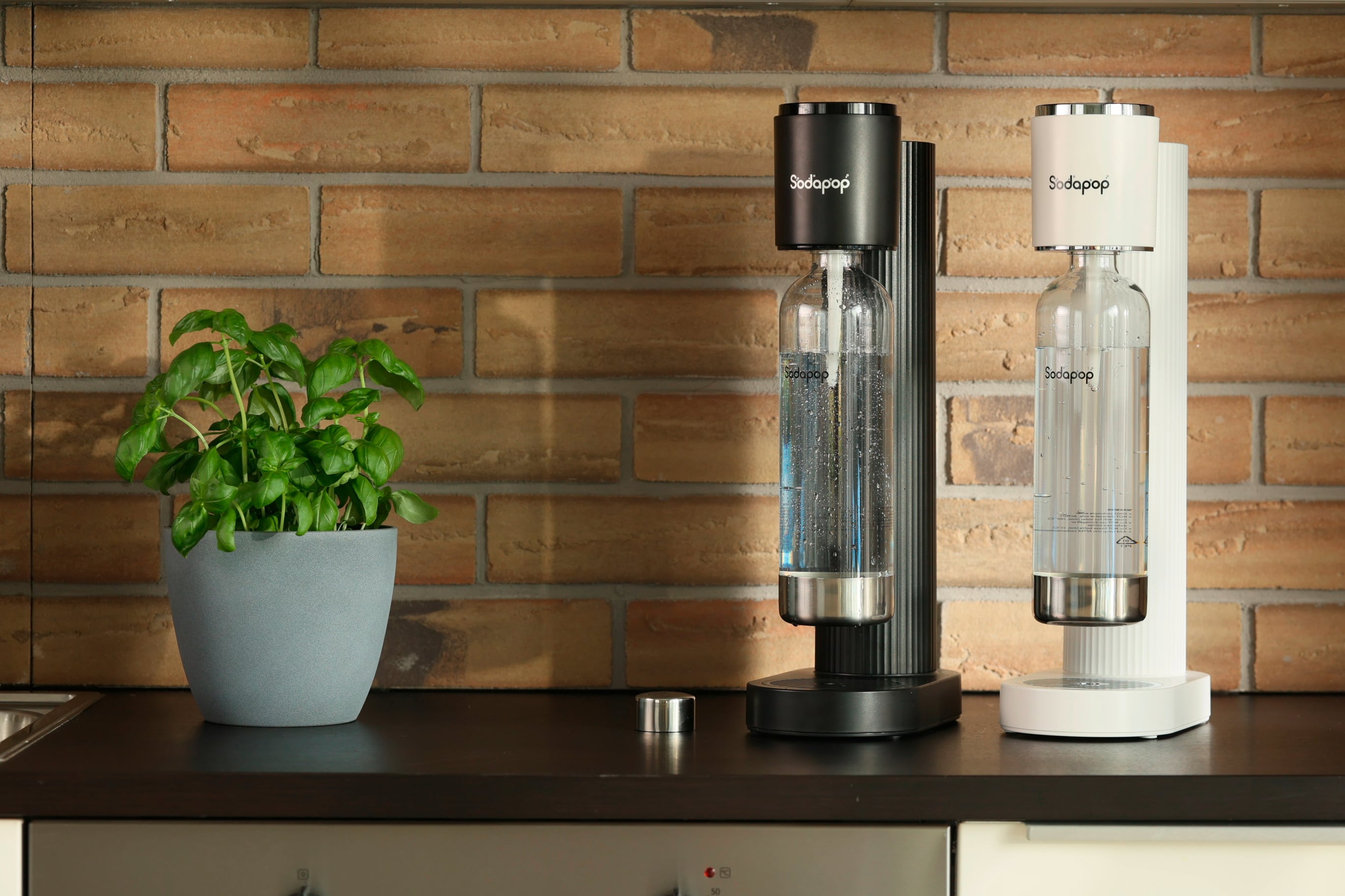 Zwei Wassersprudler in schwarz und weiß stehen auf einer Arbeitsplatte vor einer Ziegelwand, neben einem Topf mit frischer, grüner Pflanze.