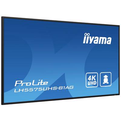 Ein iiyama ProLite Monitor, Modell LH5575UHS-B1AG, mit 4K UHD-Auflösung, wird auf einem blauen Hintergrund dargestellt.