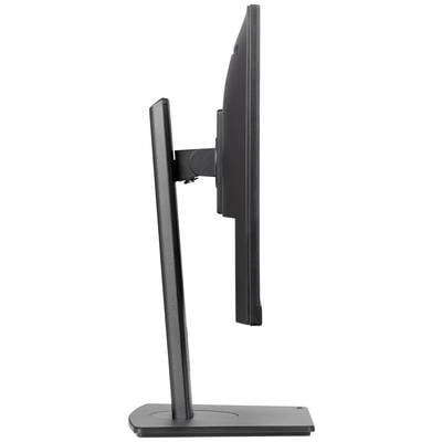 Flacher Computermonitor in seitlicher Ansicht auf schlichtem Standfuß, schwarze Farbe, schlankes Design.