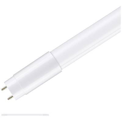 Weiße LED-Röhrenlampe mit zwei Metallstiften an einem Ende. Ideal für energieeffiziente Beleuchtung.