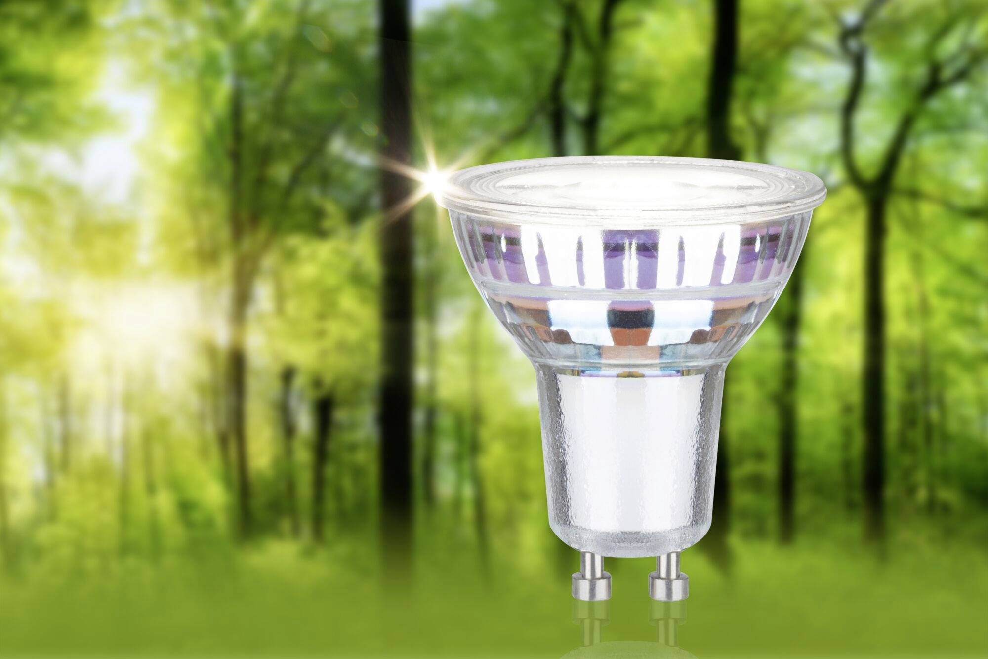 Eine LED-Glühbirne schwebt vor einem unscharfen Waldhintergrund, symbolisiert Energieeinsparung und umweltfreundliche Beleuchtung.