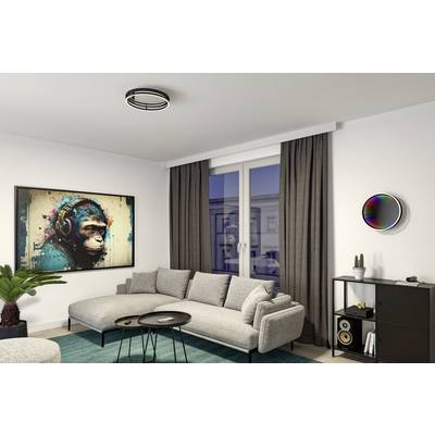 Ein modernes Wohnzimmer mit grauem Sofa, Couchtisch, Affenbild an der Wand, Pflanzen und einem Fenster mit Vorhängen.