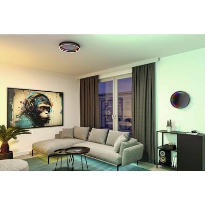 Ein modernes Wohnzimmer mit grauem Sofa, Couchtisch, farbenfrohem Affen-Kunstwerk an der Wand und einem beleuchteten Deckenventilator.