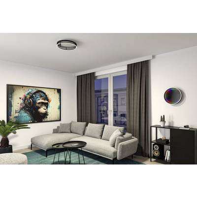 Ein modernes Wohnzimmer mit grauem Sofa, blauem Teppich und Kunstwerk eines Affen an der Wand. Durch das Fenster sieht man Stadtlichter.