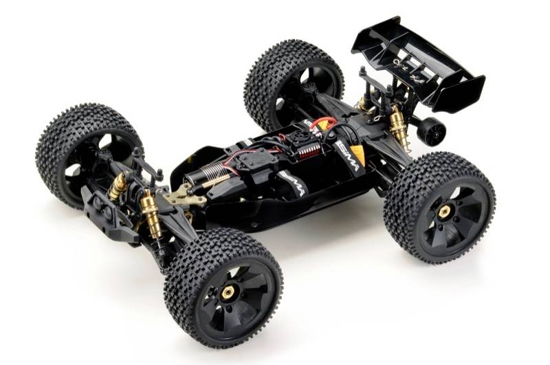 Ferngesteuertes Modellauto ohne Karosserie. Zeigt detailliertes Fahrwerk, große Profilreifen und goldene Stoßdämpfer.