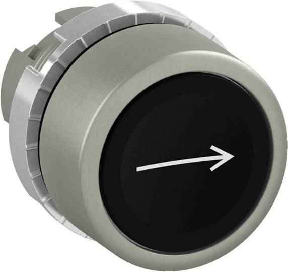 ABB 1SFA187117R9506 P9MPNNG006 Drucktaster Schwarz 1 St.