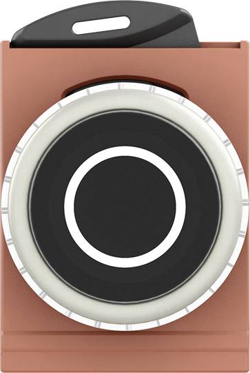 ABB 1SFA187250R9506 P9MPNNS029 Drucktaster Schwarz 1 St.