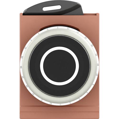 ABB 1SFA187250R9506 P9MPNNS029 Drucktaster Schwarz 1 St.